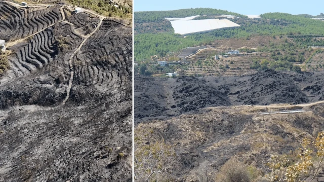 aci bilanco ortaya cikti antalyadaki orman yanginlarinin ardindan geriye gri manzara kaldi bin 350 hektar alan zarar gordu Lhgb6qeC