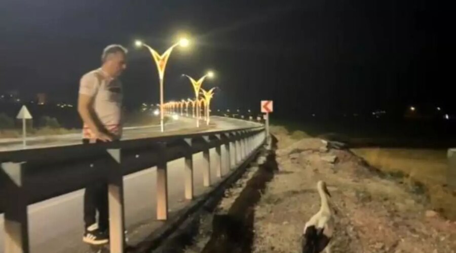 baskan ibrahim cenet yarali leyleklere sahip cikti 8qKIPsbE