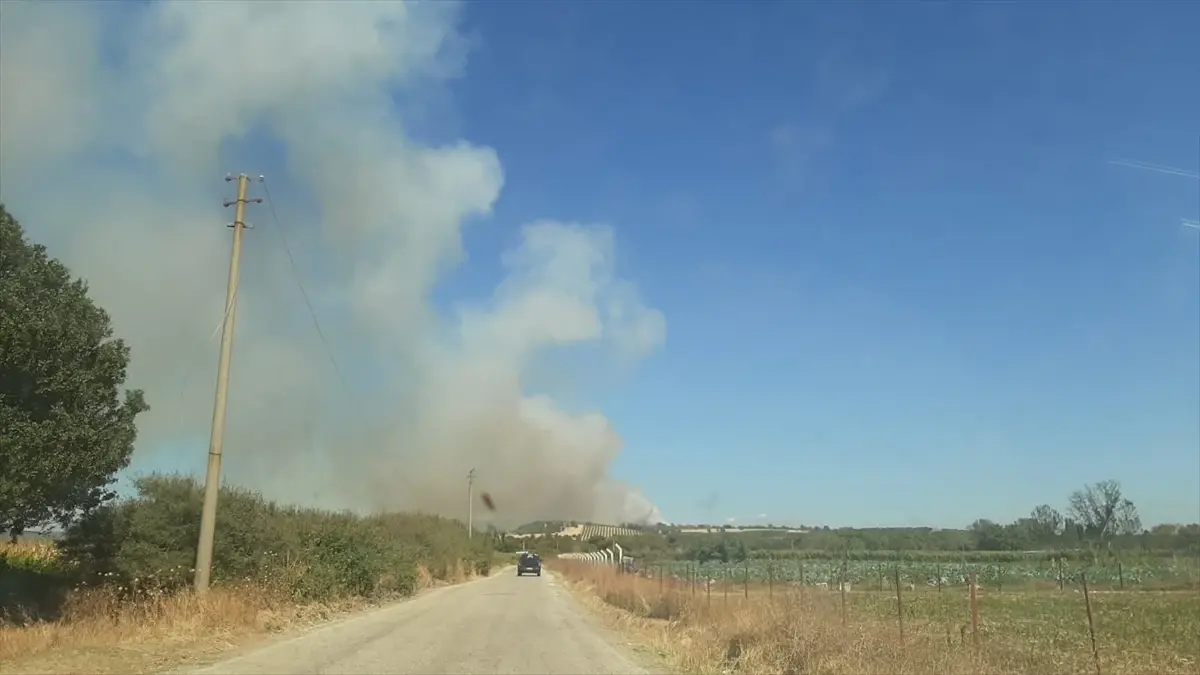 Ezine’de Zeytinlikte Yangın ezinede zeytinlikte yangin 4VvWeTge