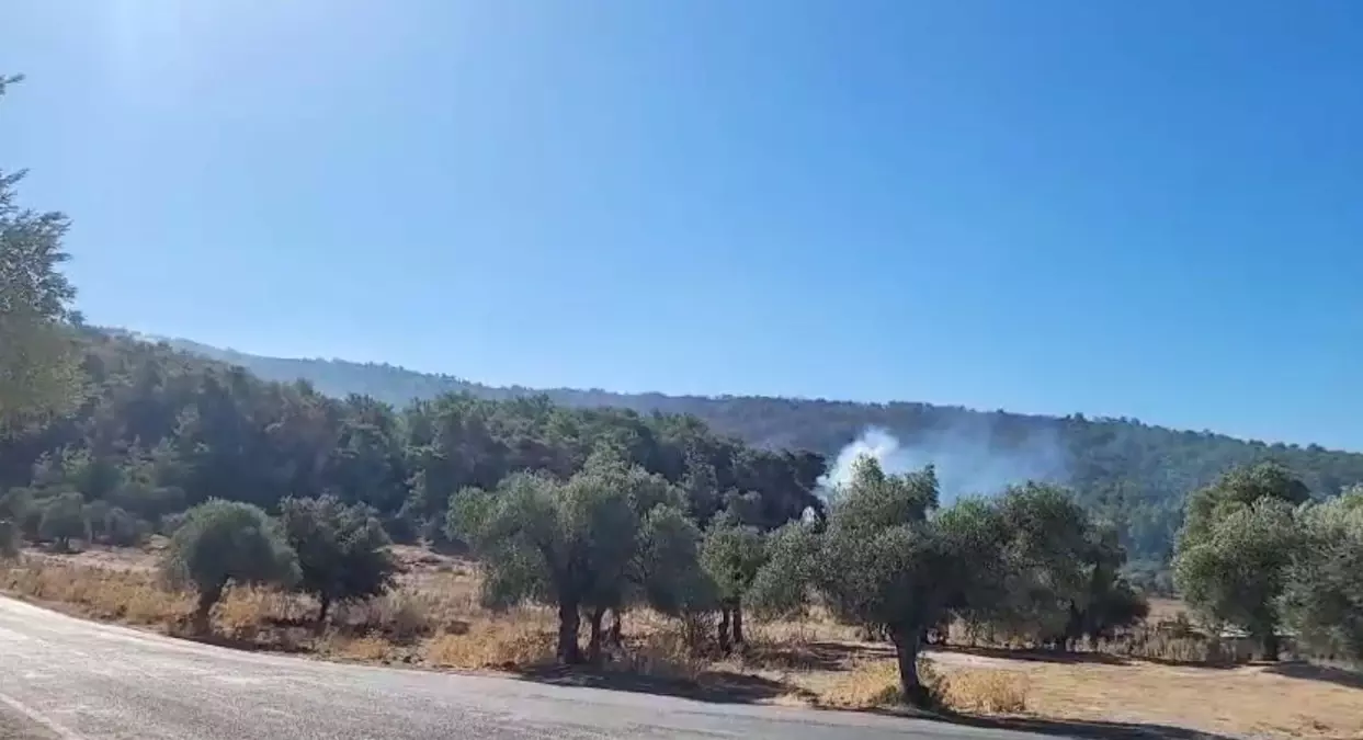 milasta orman yangini 2 gune girdi blpjFTM8