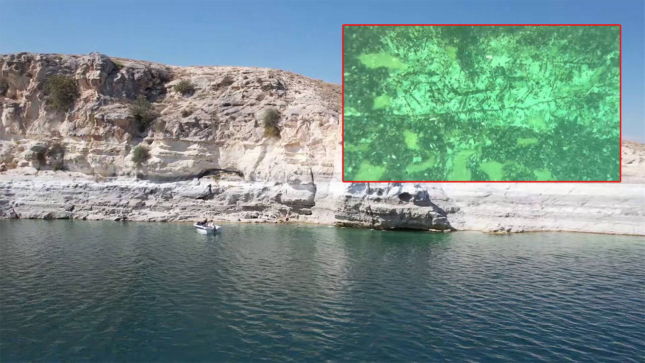 Adıyaman’da 12 bin yıllık kaya resimleri su altında görüntülendi adiyamanda 12 bin yillik kaya resimleri su altinda goruntulendi VImdC6sP.jpg