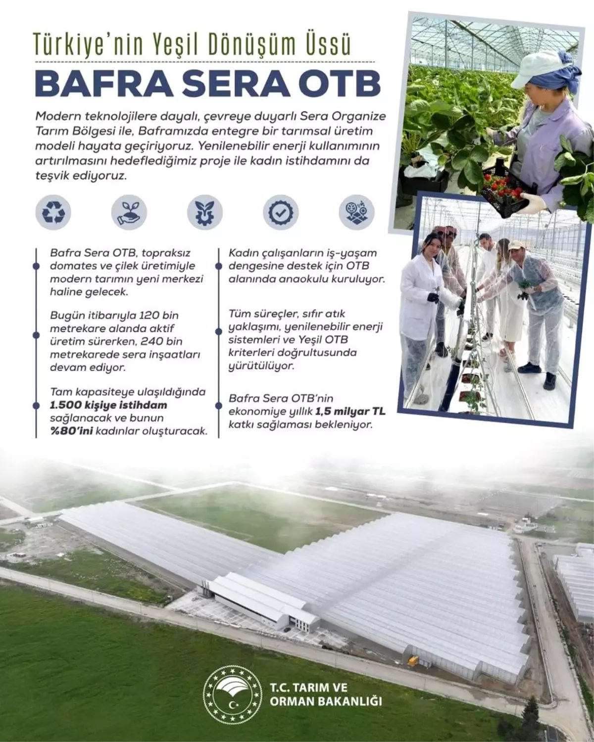 bafra sera organize tarim bolgesi projesi kadin istihdami ve ekonomik katki eBKp8HwO.jpg