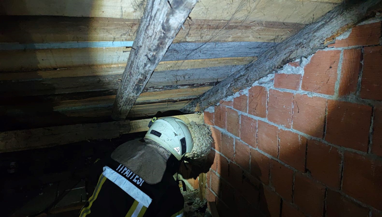 Evin çatısında yaban arısı paniği: İtfaiye ekipleri çıkardı evin catisinda yaban arisi panigi itfaiye ekipleri cikardi AcRSFxqH.jpg