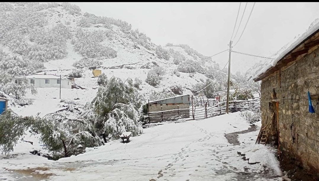 hasadi yapilmayan ceviz kar altinda kaldi CssGEXK4.jpg