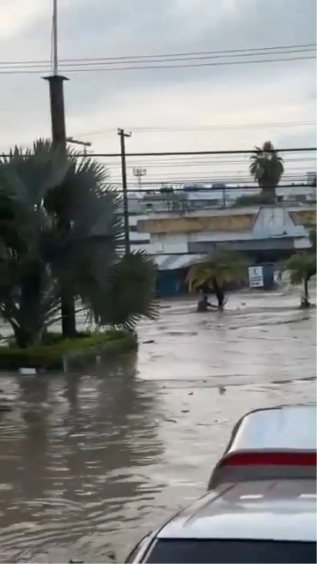 Meksika’da Şiddetli Yağışlar Sele Neden Oldu: 41 Ölü meksikada siddetli yagislar sele neden oldu 41 olu HKxztGR3.jpg