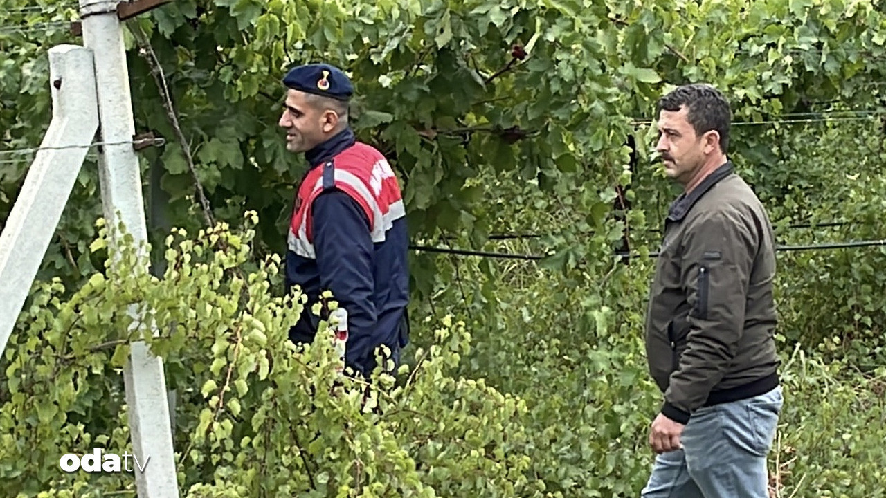 Sakarya’da üzüm üreticileri ve jandarmadan mahsul nöbeti sakaryada uzum ureticileri ve jandarmadan mahsul nobeti WGJd6Ncv.jpg