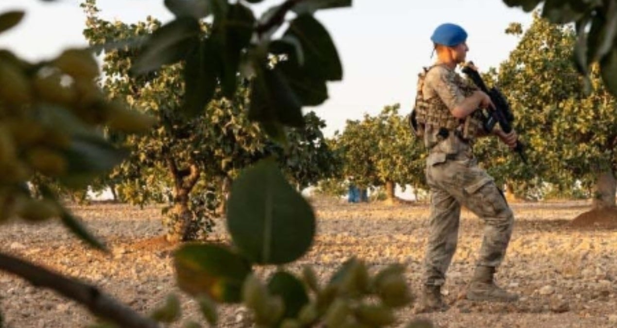3 kilosuna daire satın alınıyor: Askerler tarlanın başında gece gündüz nöbete başladı