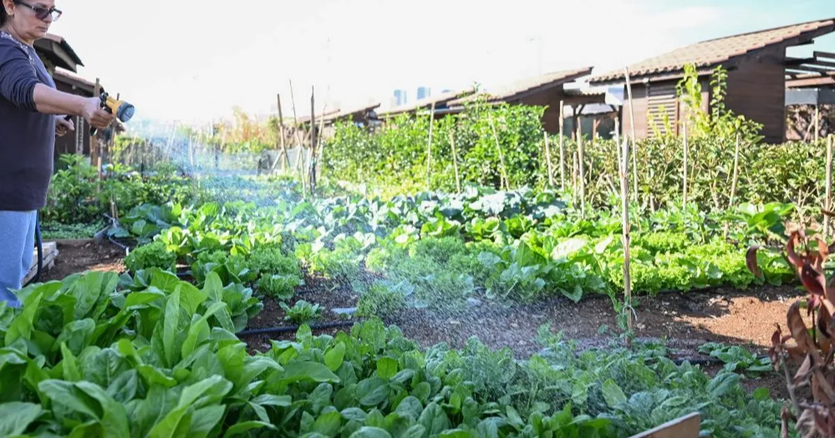 Mersin Hobi Parkı’nda kış hazırlıkları tamamlandı