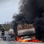 Tomruk Yüklü Kamyonun Lastiği Alev Alev Yandı: Kaza ve Yangın Anları