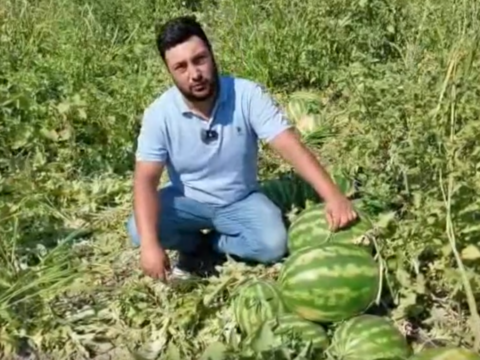 Karpuz ureticisinin isyani maliyet artiyor urunun fiyati yerinde sayiyor 2iODJh8r